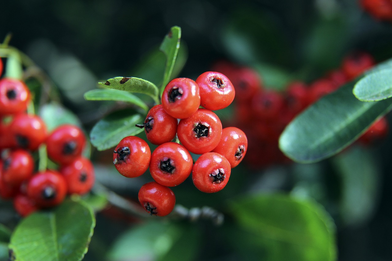 坛主力选手 坛主力选手