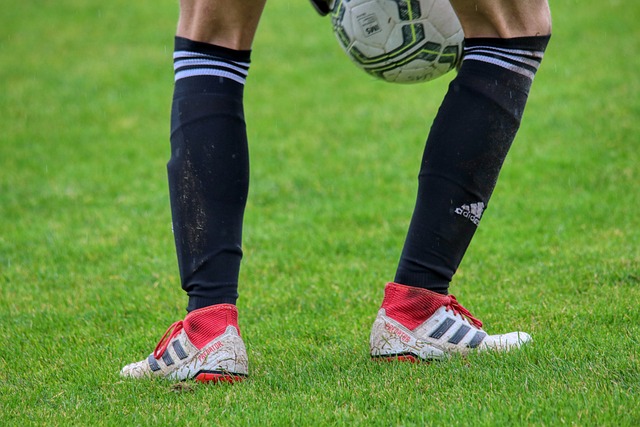 的视角与技 的视角与技