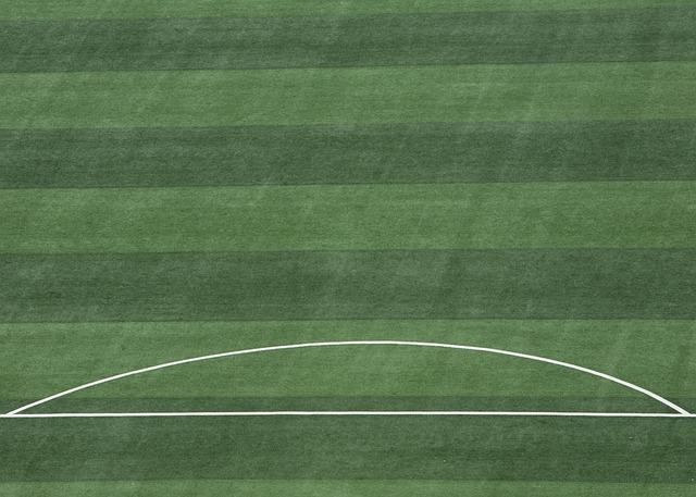 并成功地将 并成功地将